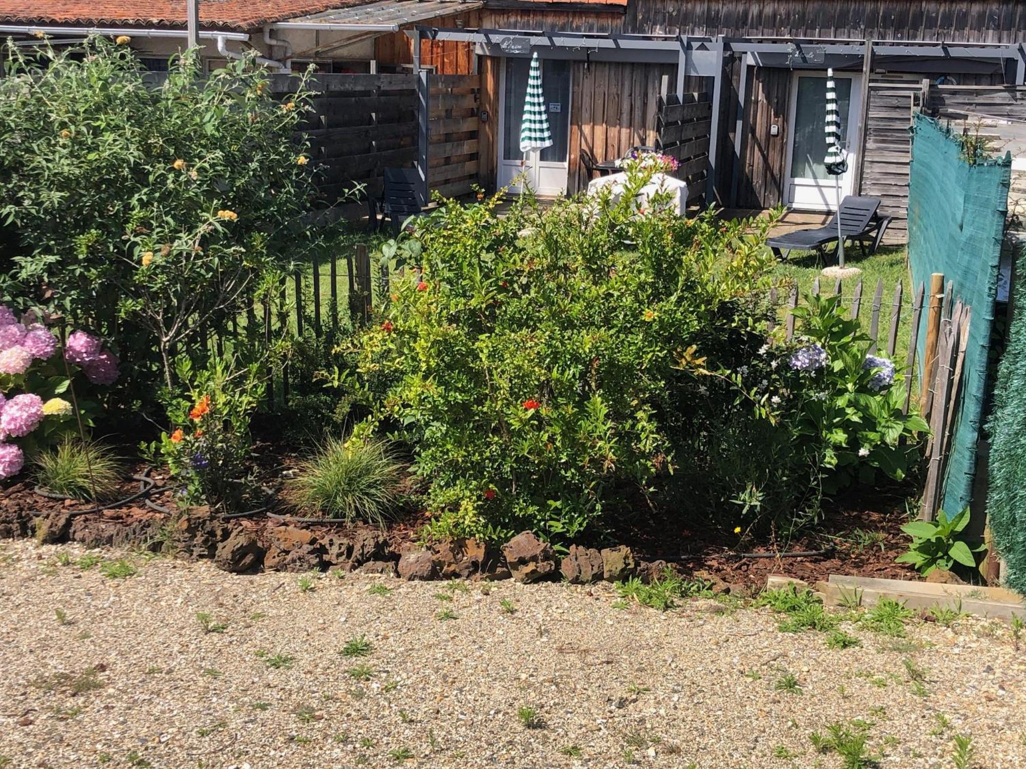Les Logis D'Argent Studio Independant Parking Entree Autonome Linge De Lit Et Serviettes Wifi Fibre Tv Connectee Mimizan-Plage Buitenkant foto